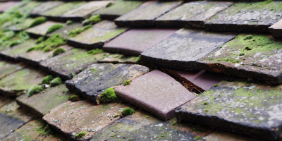 Thorney roof repair costs